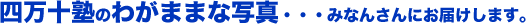 �������ΤΤ郎�ޤޤʼ̿��������ߤʤ���ˤ��Ϥ����ޤ���