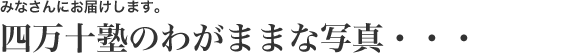 四万十塾のわがままな写真お届けします。